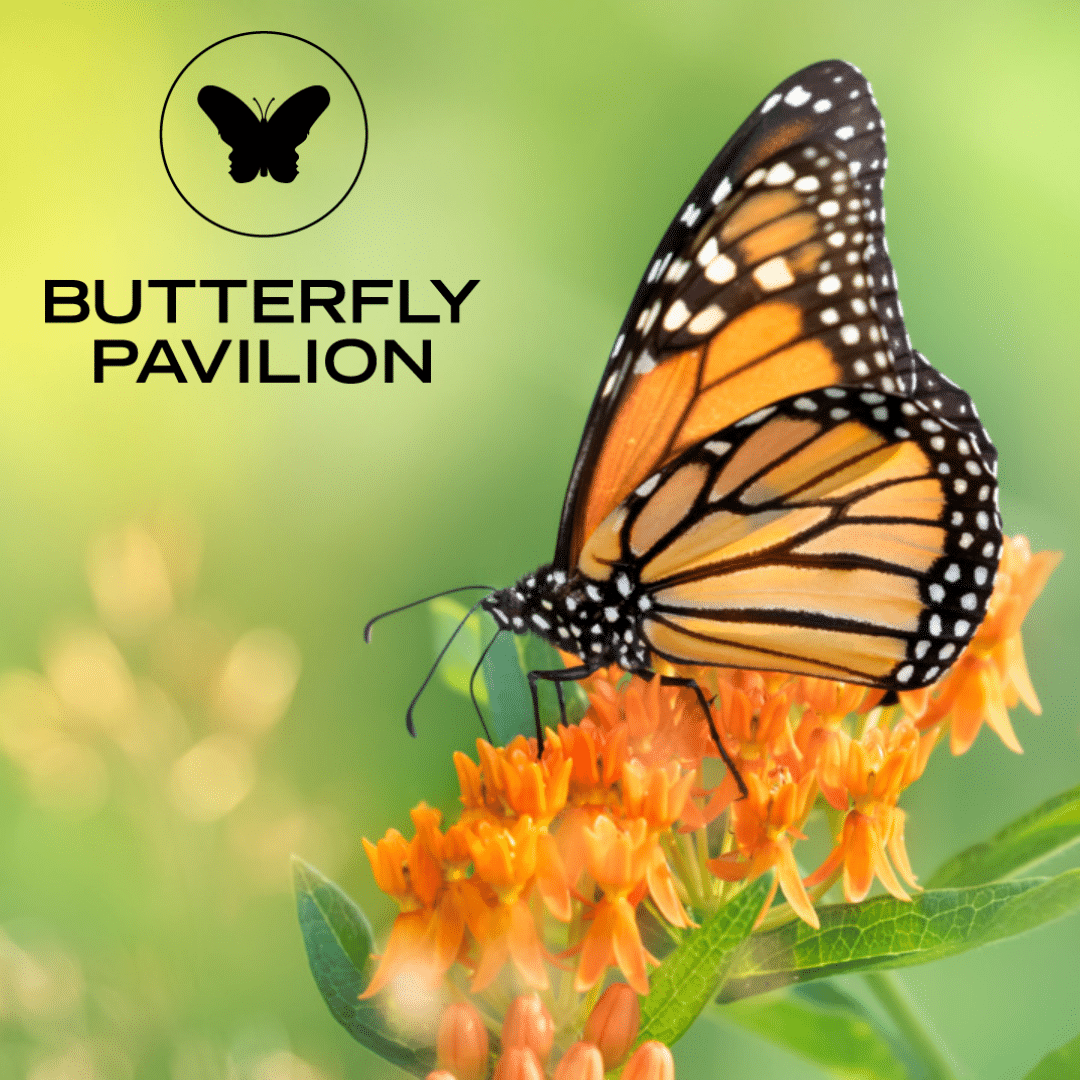 Explorer Passes Butterfly Pavilion