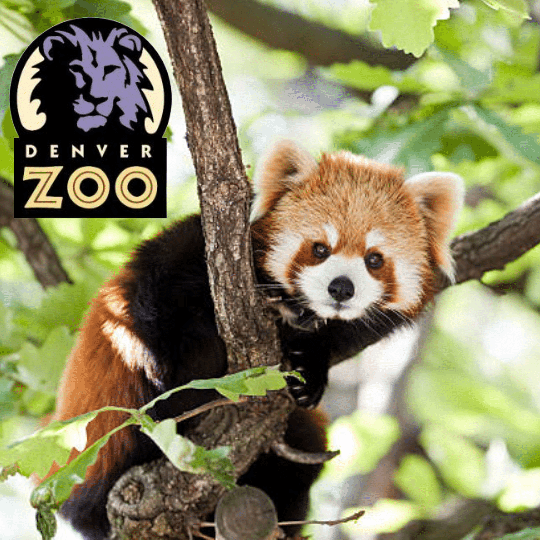 Explorer Passes Denver Zoo