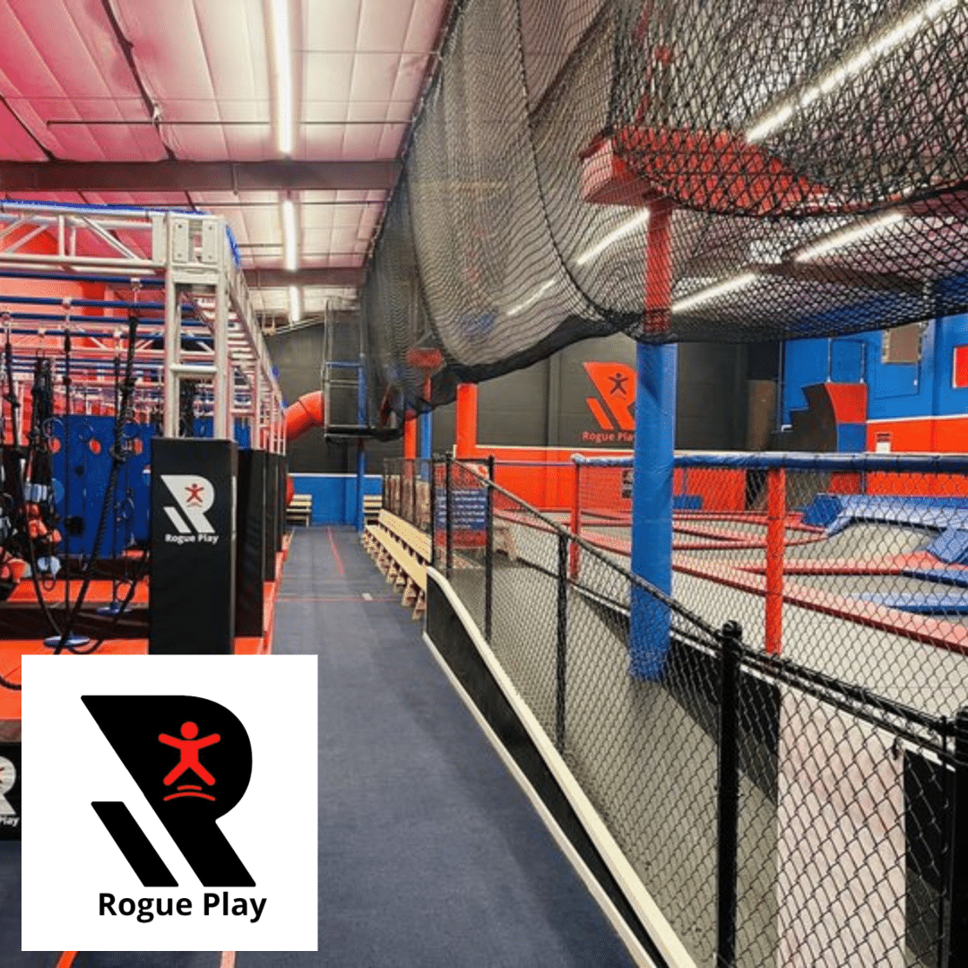 Explorer Passes Rogue Play