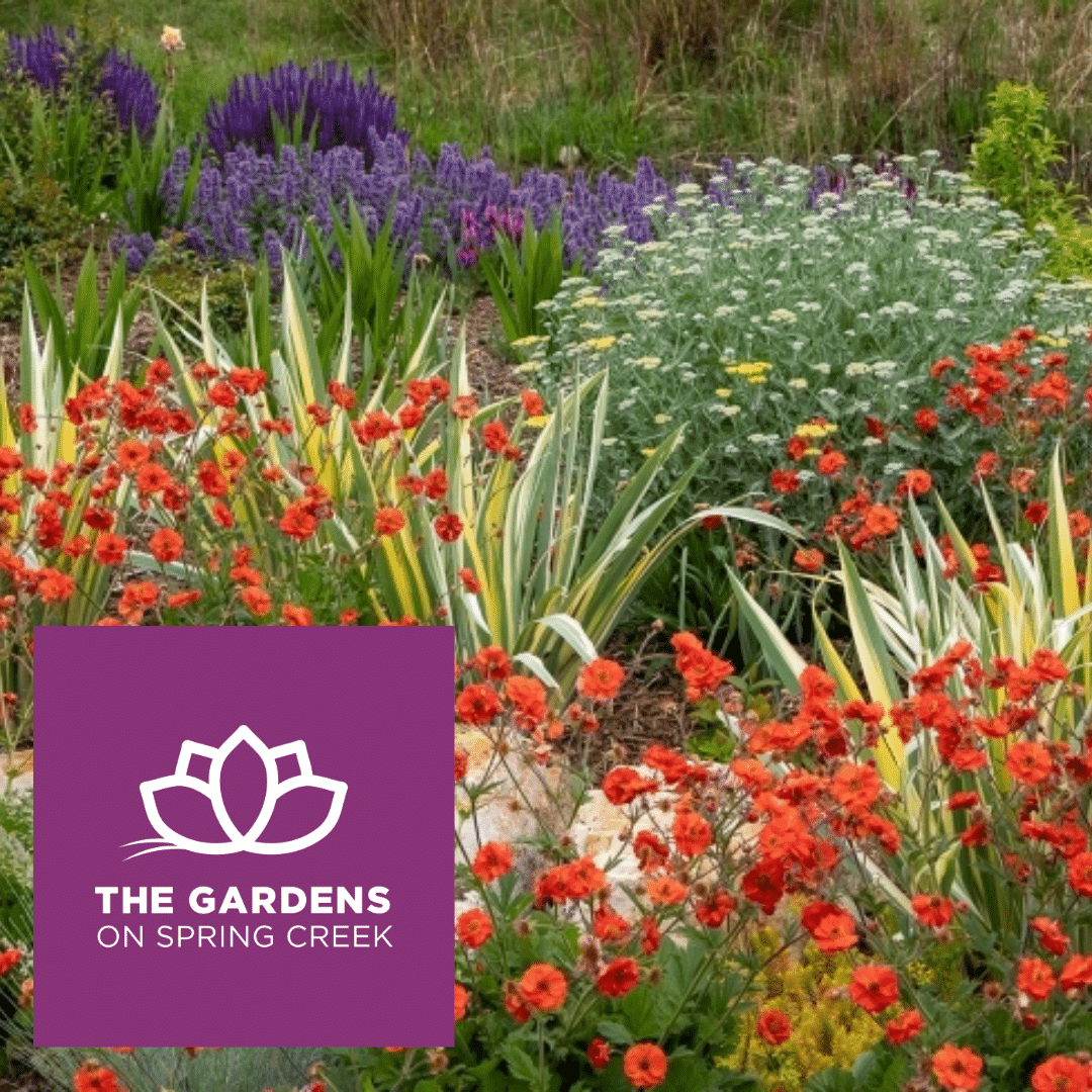 Explorer Passes The Gardens at Spring Creek