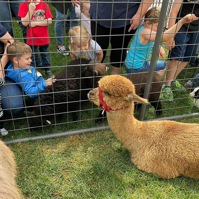 The Glenn A Jones MD Memorial Library kids programs include petting zoos for children of all ages