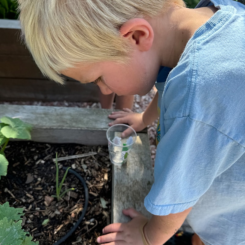 A boy learning gardening skills at the Glenn A Jones MD Memorial Library Tween Programs