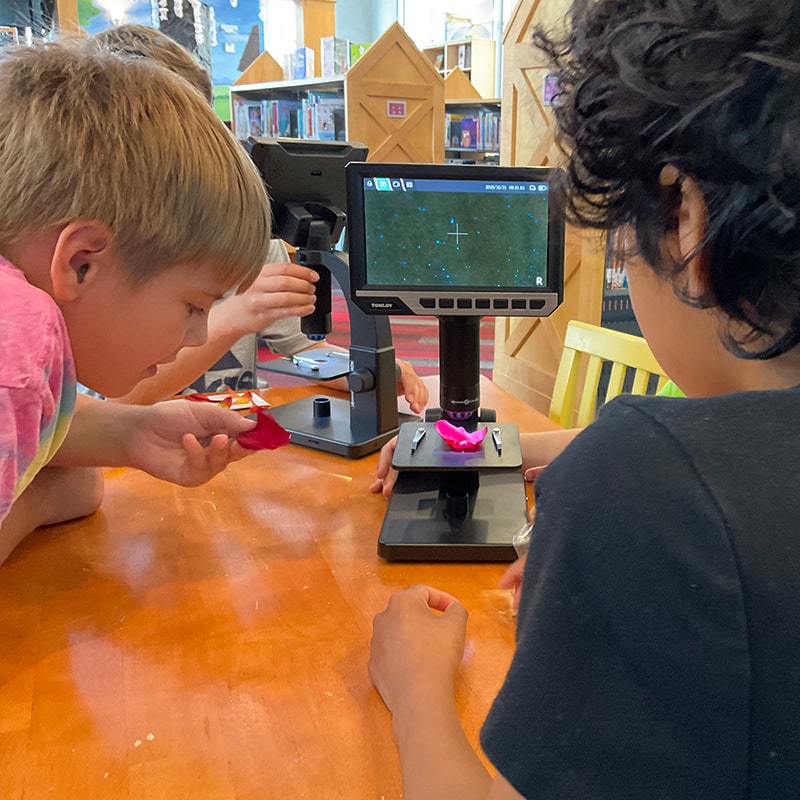 Two boys using a microscope at the Glenn A Jones MD Memorial Library Tween Programs
