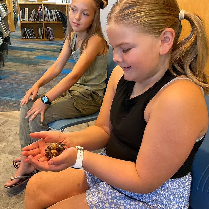 Learning about hermit crabs at the Glenn A Jones MD Memorial Library Tween Programs