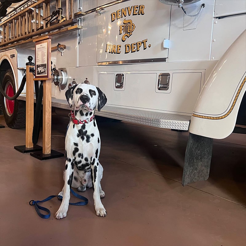 explorer-passes-grid-5