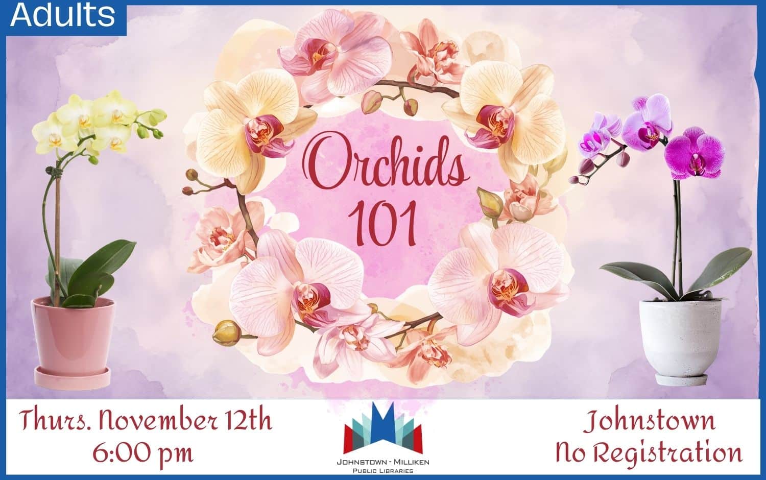 Orchids 101 in Johnstown. Nov. 12th @ 6 pm